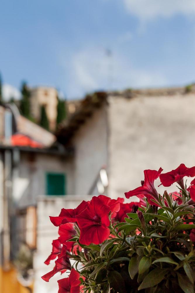 La Terrazza Sul Teatro Apartamento *